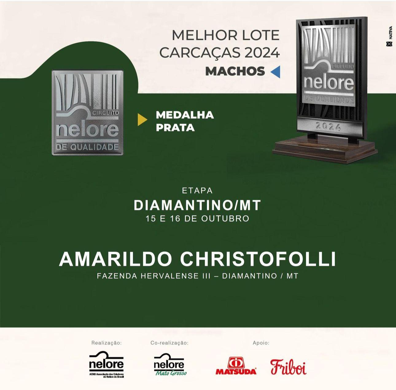 Imagem destacando o nome de Amarildo Christofolli, Fazenda Hervalense III, vencedor da Medalha de Prata na categoria Machos do Circuito Nelore de Qualidade 2024. Etapa Diamantino/MT, realizada nos dias 15 e 16 de outubro, em parceria com Matsuda e Friboi.
