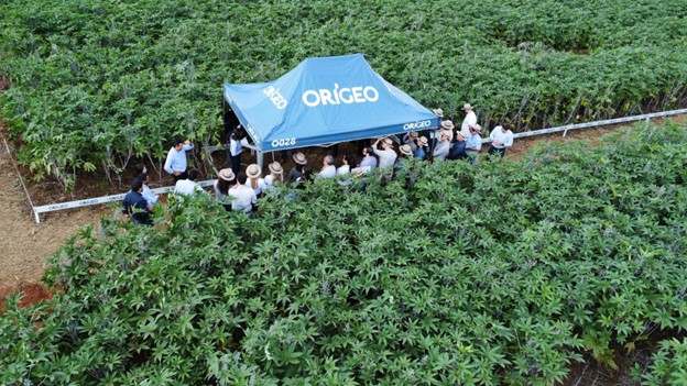 Participantes do evento reunidos sob uma tenda azul com o logo da Origeo, posicionada entre fileiras de plantas de mamona, ouvindo uma apresentação técnica.