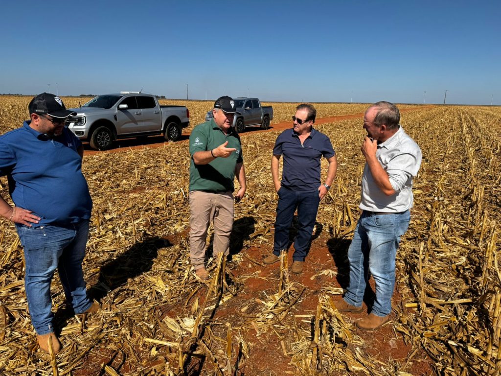 Equipe do Grupo Hervalense em campo, avaliando presencialmente as condições da lavoura e discutindo estratégias agrícolas.