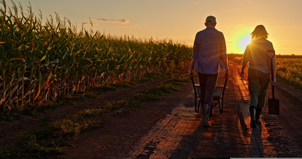 Agricultores caminhando ao lado de um milharal ao pôr do sol, com o homem empurrando um carrinho de mão cheio de legumes e a mulher ao lado carregando uma pá. O sol destaca suas silhuetas.