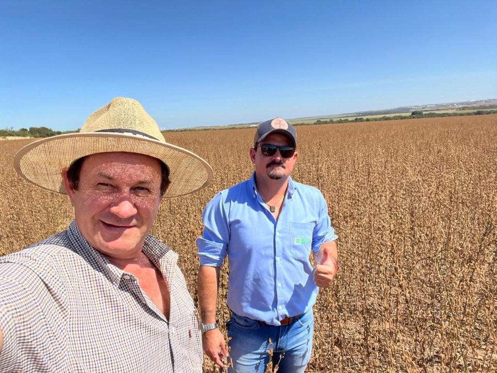Fotografia em uma lavoura de gergelim pronta para colheita. À esquerda está Erny Parisenti, diretor-comercial e de insumos do Grupo Hervalense, usando chapéu de palha e camisa xadrez clara. À direita, Victor Sanches, engenheiro agrônomo da empresa, veste camisa azul clara, óculos escuros e jeans, fazendo sinal de positivo. Ao fundo, observa-se o campo extenso de gergelim dourado, reforçando o cenário de práticas sustentáveis e produtividade agrícola.