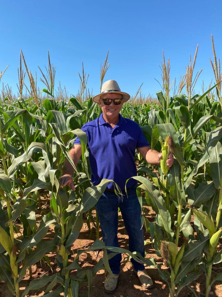 Amarildo Christofolli, diretor de operações agrícolas do Grupo Hervalense em pé no meio de uma lavoura de milho, sorrindo, usando chapéu de palha, óculos escuros, camisa polo azul e calça jeans, segurando as plantas em um dia de céu azul.